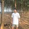 Tan Chao Wee