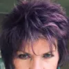 E Christine Pulsinelli