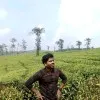 Ajay Kumar