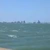 Brice Seibert