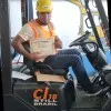 Arsenio Rafael Silvera valdez