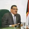 Prof Ali Massoud