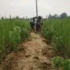 Navya Navyasree