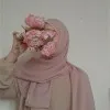 Abida Ansari