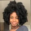 Nekele Alexis