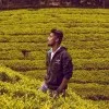 Kumar ChandraSekar