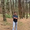 Pruthvi