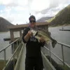Mark Oveross