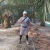 Refli Junaidi