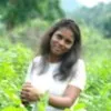 Sreekakulam Lakshmi Likhitha