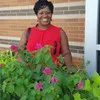 Vernetta Hearn