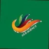 GULL Agency