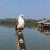 Sunil kumar