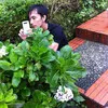 budi instan