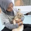 Sarah Fatin