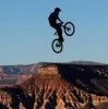 Daniel Fittock