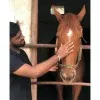 yogesh cr