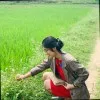 Tuyet Pham