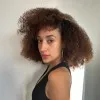 Yanilsa Delacruz