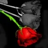 Ancy Cheriyan