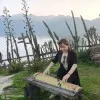 Ho Thuy Van Anh