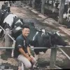 Bagoes Cahyo