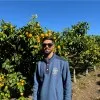 Ravi Kumar