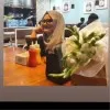 Mariam Rasheed