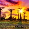 E Visa Madagascar