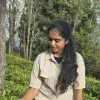 Jothika