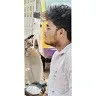 Tamil dice