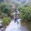 Aman Pal