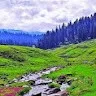 Basharat Gill