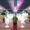 Perdy Bareta Bakti