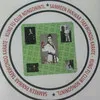 Samreenpanwar Taekwondokaratekungfuclub