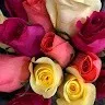 Eman Amer