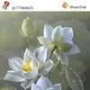 Devaki