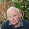 Joseph Verwiel