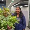 Dhivya Suriyamoorthy