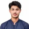 Syed Aashir Ali