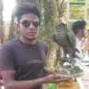 Md Karim shekh