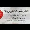 Muhammad Bilal