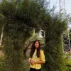 Ritu Kotadiya