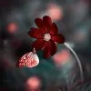 Keerthi Krishnamoorthy