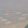 Rosemary Salama