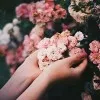 Amira Sayed
