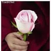 Wafa Albarakoney