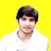 Muhammad Adeel Sajjad