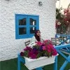 Jishana KP