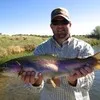 Neil Bales